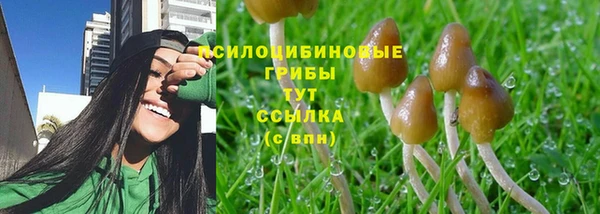 мяу мяу кристалл Алзамай