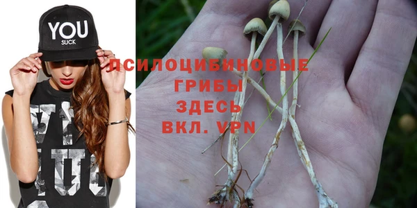 гашиш Алексеевка