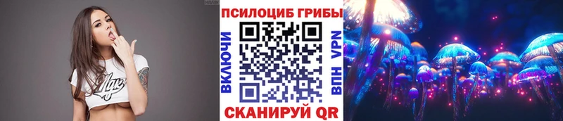 купить закладку  Шацк  площадка состав  Псилоцибиновые грибы мухоморы 